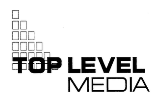 TOP LEVEL MEDIA logo