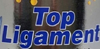 TOP LIGAMENT logo