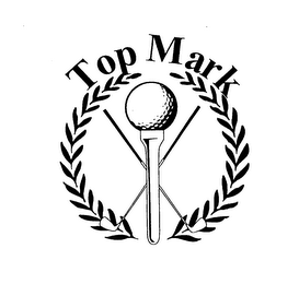 TOP MARK logo