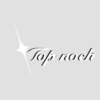 TOP NOCH logo