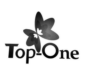 TOP ONE logo