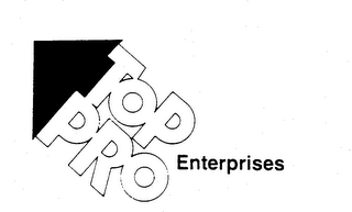 TOP PRO ENTERPRISES logo