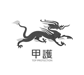 TOP PROTECTION logo