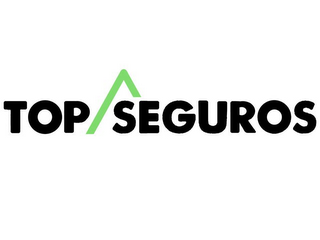 TOP SEGUROS logo