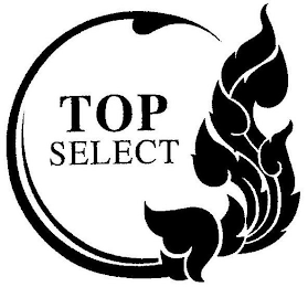 TOP SELECT logo