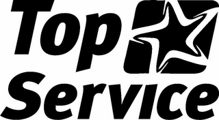 TOP SERVICE logo