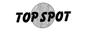TOP SPOT logo