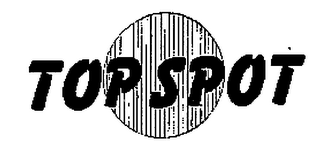 TOP SPOT logo