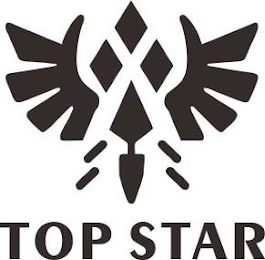 TOP STAR logo