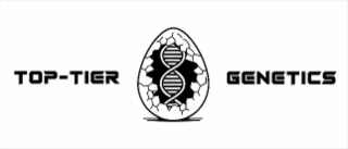 TOP-TIER GENETICS logo
