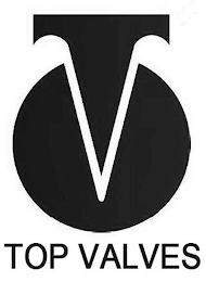 TOP VALVES logo