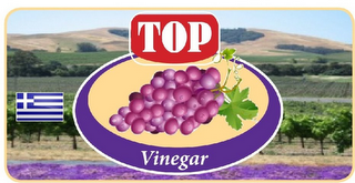 TOP VINEGAR logo