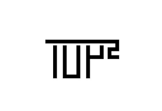 TOP2 logo