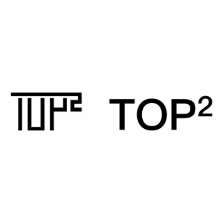 TOP2 TOP2 logo