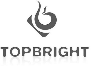 TOPBRIGHT logo