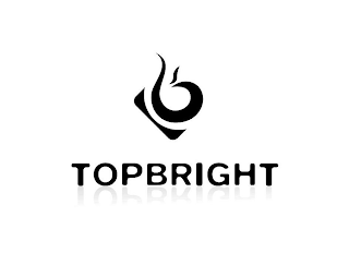 TOPBRIGHT logo