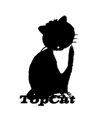 TOPCAT logo