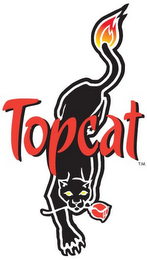 TOPCAT logo