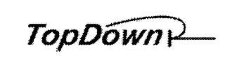 TOPDOWN logo