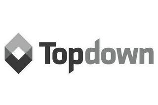 TOPDOWN logo