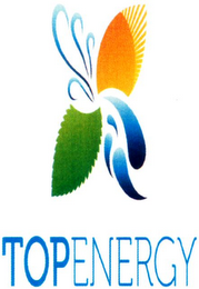 TOPENERGY logo