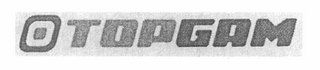 TOPGAM logo