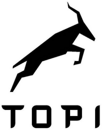 TOPI logo