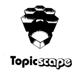 TOPICSCAPE logo