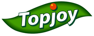 TOPJOY logo