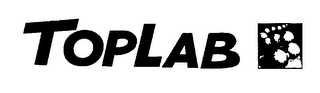 TOPLAB logo