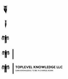 $$ TOPLEVEL KNOWLEDGE LLC GAIN KNOWLEDGE TO BE IN CHARGE AGAIN logo