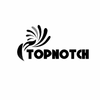 TOPNOTCH logo