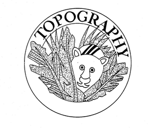TOPOGRAPHY logo
