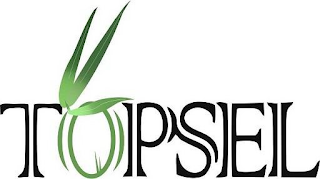 TOPSEL logo