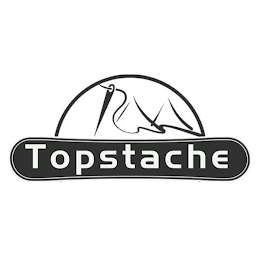 TOPSTACHE logo