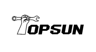 TOPSUN logo