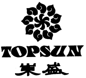 TOPSUN logo