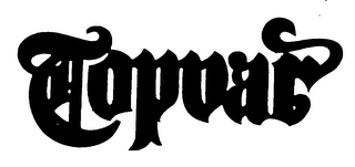 TOPVAR logo