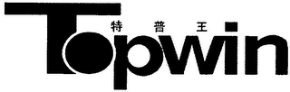 TOPWIN logo