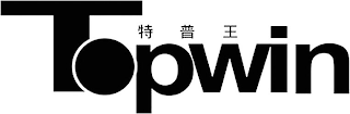TOPWIN logo