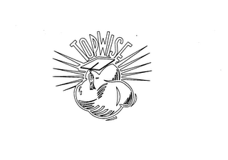 TOPWISE logo