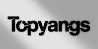TOPYANGS logo