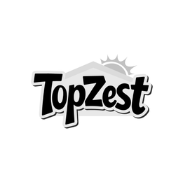 TOPZEST logo