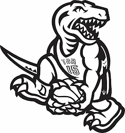 TOR 15 logo