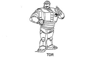TOR logo