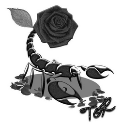 TOR logo