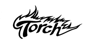 TORCH logo