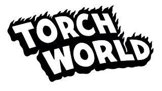 TORCH WORLD logo