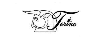TORINO logo