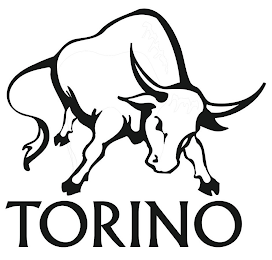 TORINO logo